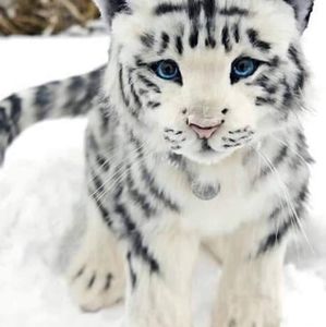 Meet your Posher, Colleen